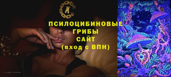 прущие грибы Алексеевка